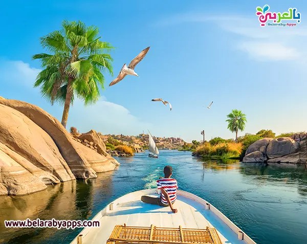 ماذا اكتب عن حب مصر؟